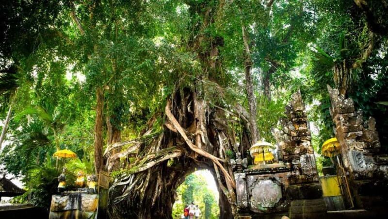 Bali: West Bali Private Tour with Lunch and Transfers - Practical Details and What to Expect