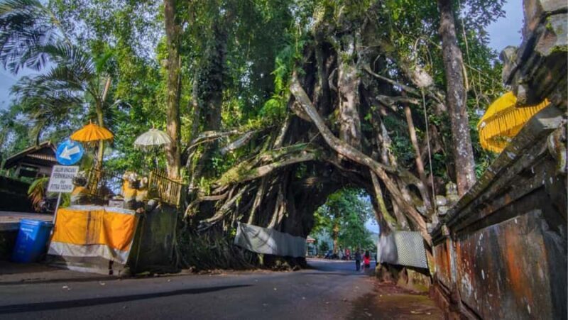 Bali: West Bali Private Tour with Lunch and Transfers - Who Is This Tour Best For?