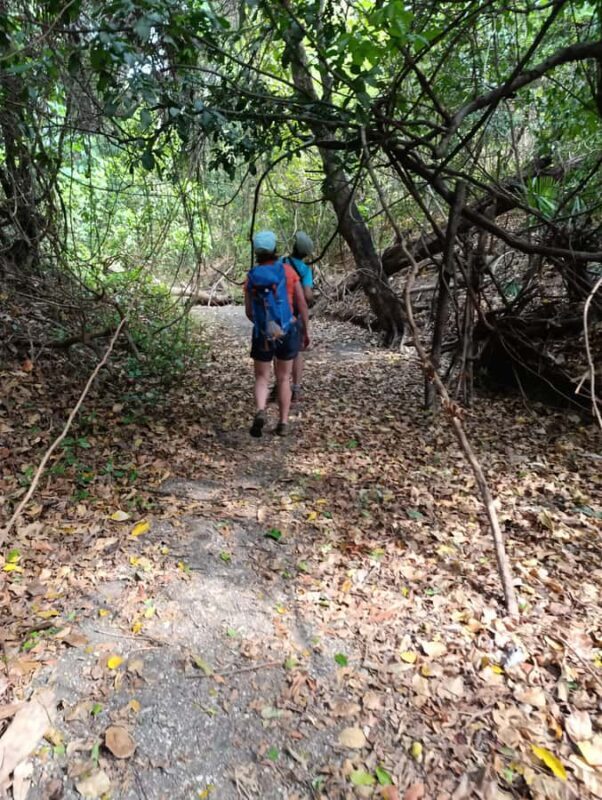 Bali: West Bali Rainforest Guided Trekking Tour - The Sum Up