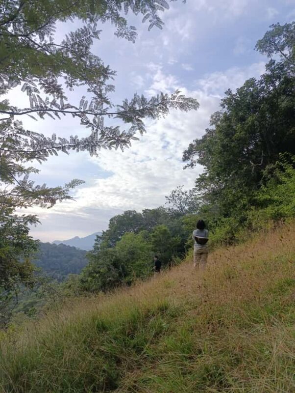 Bali: West Bali Rainforest Guided Trekking Tour - FAQ