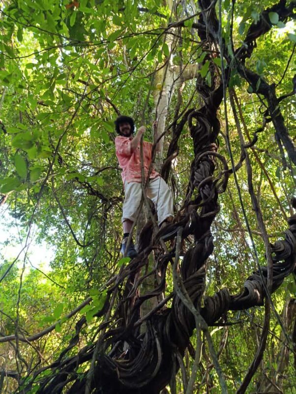 Bali: West Bali Rainforest Guided Trekking Tour - Good To Know