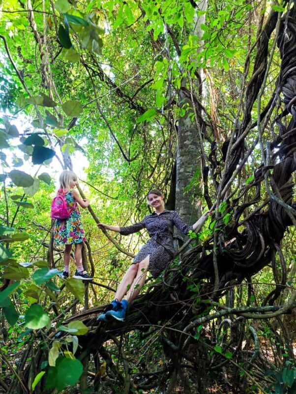 Bali: West Bali Rainforest Guided Trekking Tour - What the Experience Feels Like