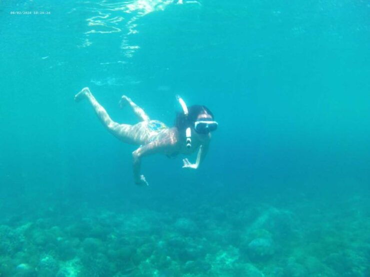 Bali: West Island Full Day Tour With Nusa Penida Snorkelling - Tour Highlights