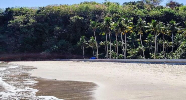 Bali : West Nusa Penida Day Trip - Activity Details and Inclusions