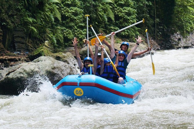 Bali White Water Rafting Adventure - Adventure Overview
