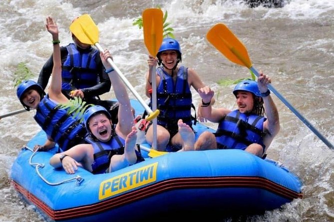 Bali White Water Rafting Adventure - Rapids Encounter