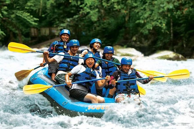 Bali White Water Rafting Adventure With Lunch & Transfer - Overview of the Experience