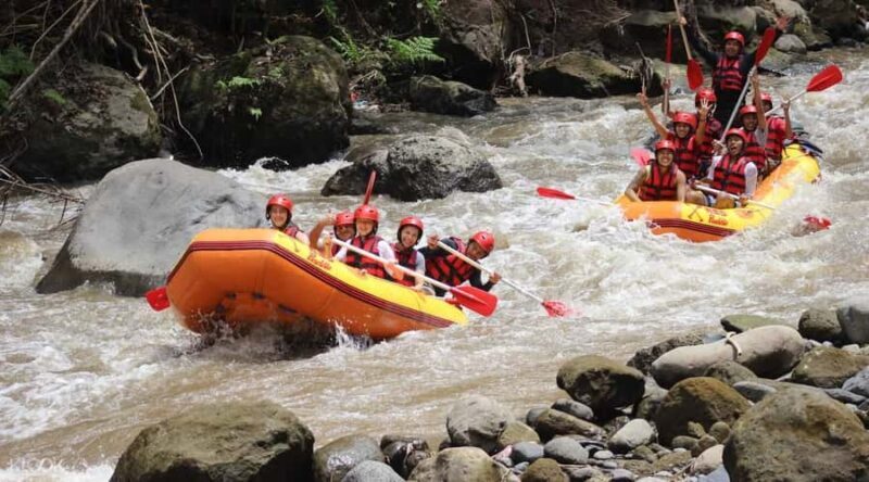Bali: White Water Rafting and ATV Adventure with Lunch - Authentic Insights from Reviewers