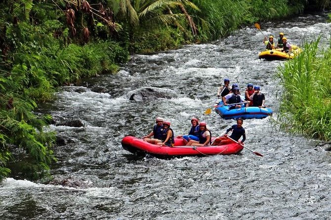 Bali White Water Rafting at Telaga Waja River - Good To Know