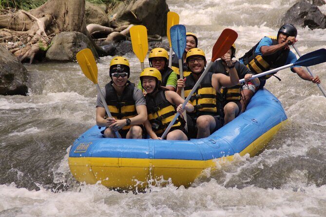 Bali White Water Rafting Including Lunch and Transport - A Closer Look at Bali White Water Rafting