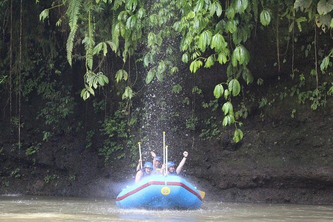 Bali White Water Rafting Including Lunch and Transport - The Sum Up