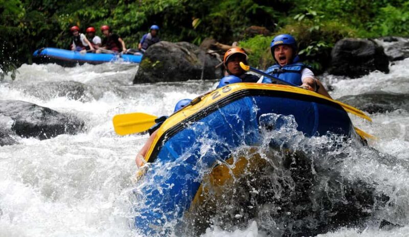 Bali: White Water Rafting, Lunch and Private Pickup - Frequently Asked Questions  