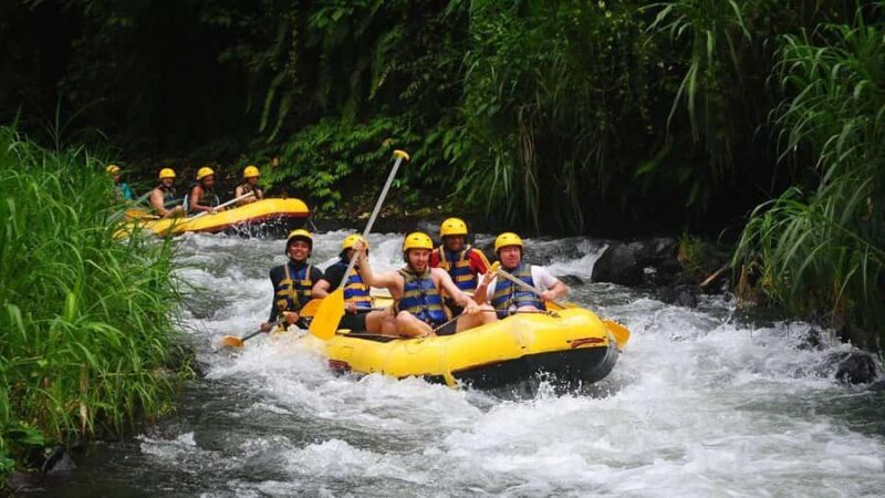 Bali: White Water Rafting, Lunch and Private Pickup - What to Expect from the Experience