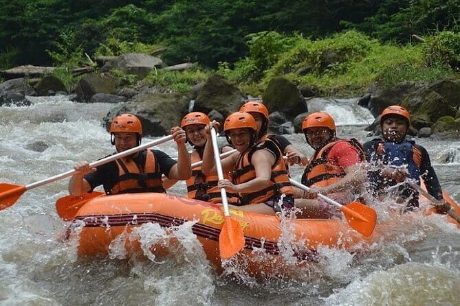 Bali White Water Rafting with Lunch and Private Transfer - Good To Know
