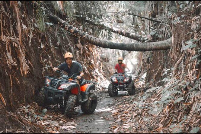 Bali Wild Jungle Expedition: Jungle Hopper & Quad ATV Adventure - Good To Know