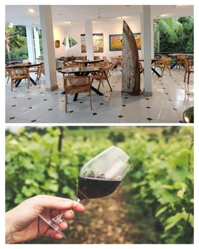 Bali: Wine & Cheese Tasting / Jungle Bar / Skylodge - Good To Know