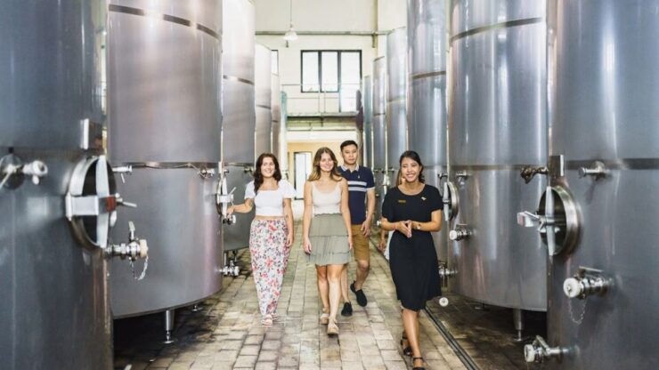 Bali: Wine Tasting Factory Tours With Optional Sightseeing - Tour Details