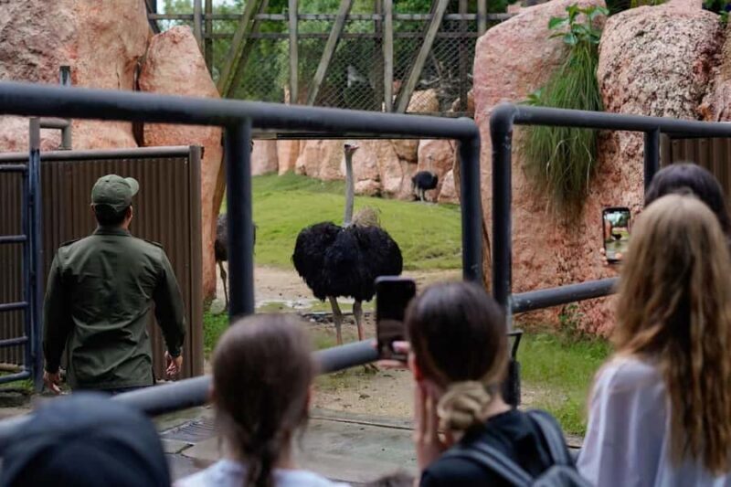Bali Zoo: Behind Closed Doors Afternoon Safari Guided Tour - Good To Know
