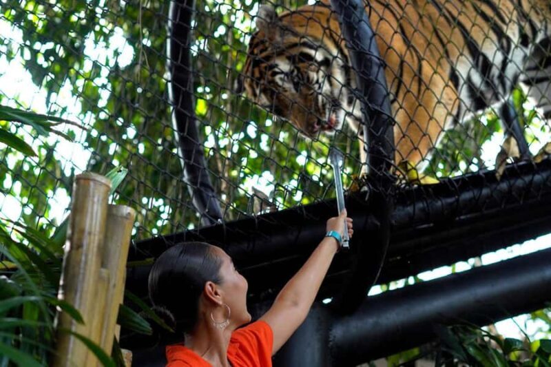 Bali Zoo: Behind Closed Doors Afternoon Safari Guided Tour - Authentic Reviews & Personal Insights