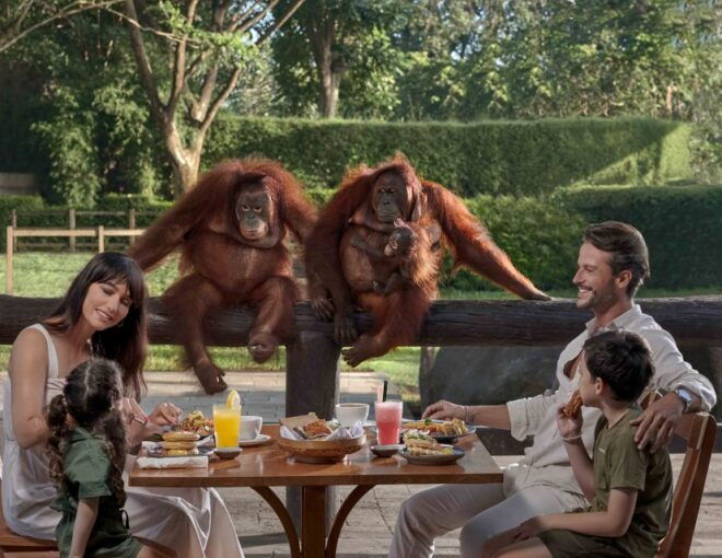 Bali Zoo: Breakfast With the Orangutans - Full Description