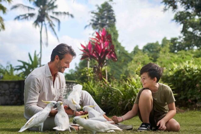 Bali Zoo: Breakfast With the Orangutans - Select Participants and Date