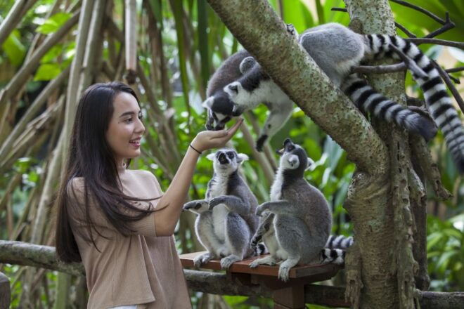 Bali Zoo Entrance Ticket - Customer Reviews