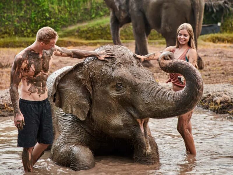 Bali Zoo: Guided Ethical Elephant Care Experience - Good To Know