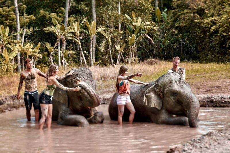 Bali Zoo: Guided Ethical Elephant Care Experience - FAQ