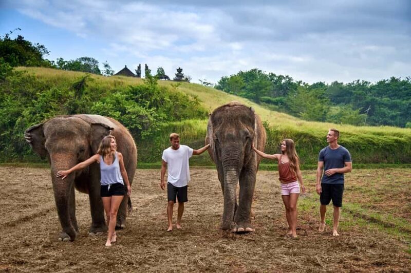 Bali Zoo: Guided Ethical Elephant Care Experience - The Value of the Experience