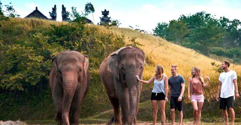 Bali Zoo: Guided Ethical Elephant Care Experience - FAQ