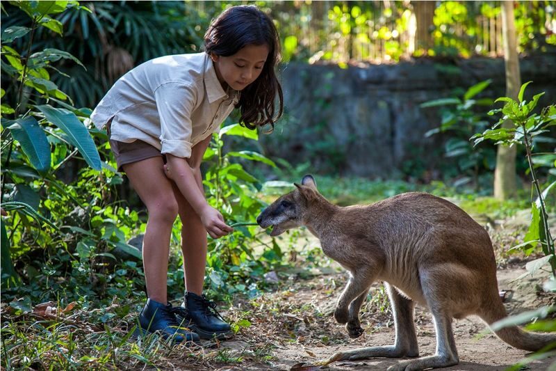 Bali Zoo Ticket - Start Early for Feedings and Presentations