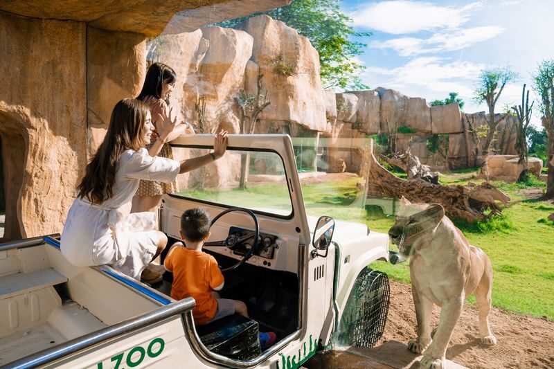 Bali Zoo Ticket - Getting Close to Animals, With Clear Expectations
