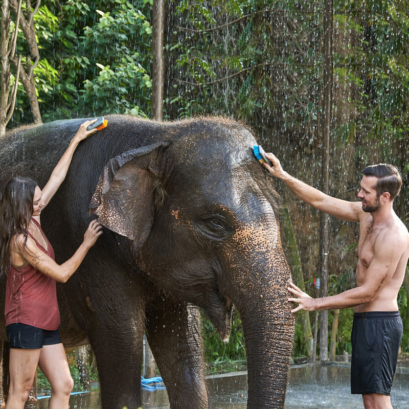 Bali Zoo Ticket - Getting There and Making the Ticket Work