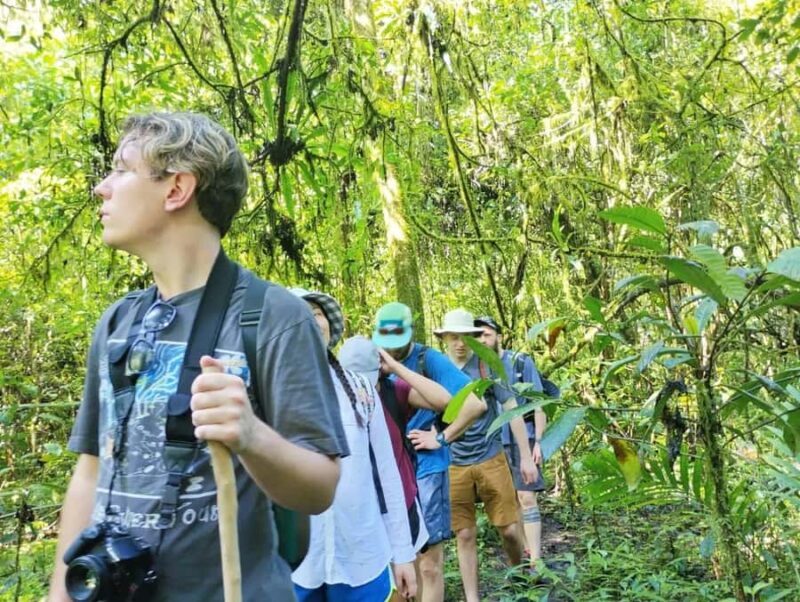 Bali:Explore 5 Waterfalls Trekking Tour in Munduk Bali - Good To Know