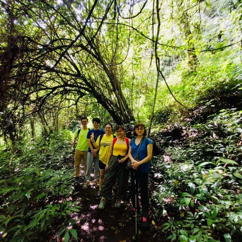 Bali:Explore 5 Waterfalls Trekking Tour in Munduk Bali - Good To Know