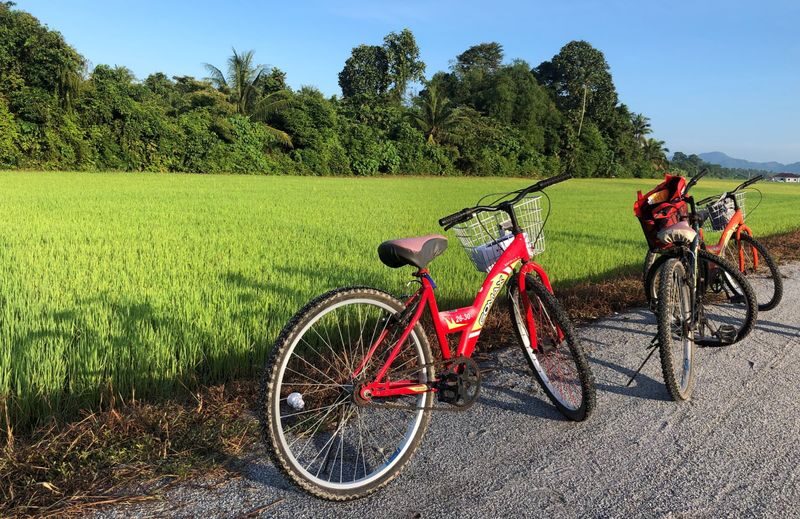 Balik Pulau Cyling Tour with Local Villages Visit in Penang - Trading George Town for Balik Pulau’s morning calm