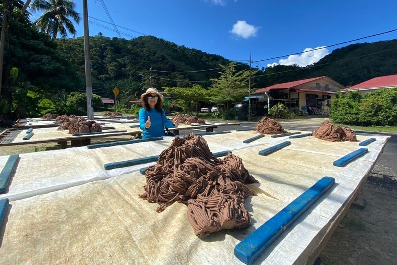 Balik Pulau Half-Day Tour in Penang - A rural change of pace from George Town