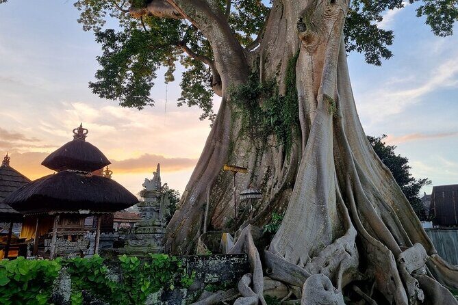 Balinese Cooking Class and Jatiluwih Rice Terrace Walking Tour - FAQs about the Balinese Cooking Class & Jatiluwih Rice Terrace Tour