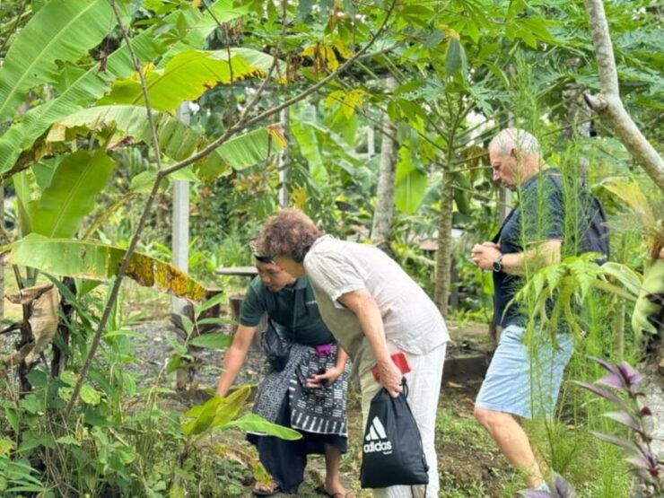 Balinese Cooking Class With Visit Ubud Highlight Tour - Key Points