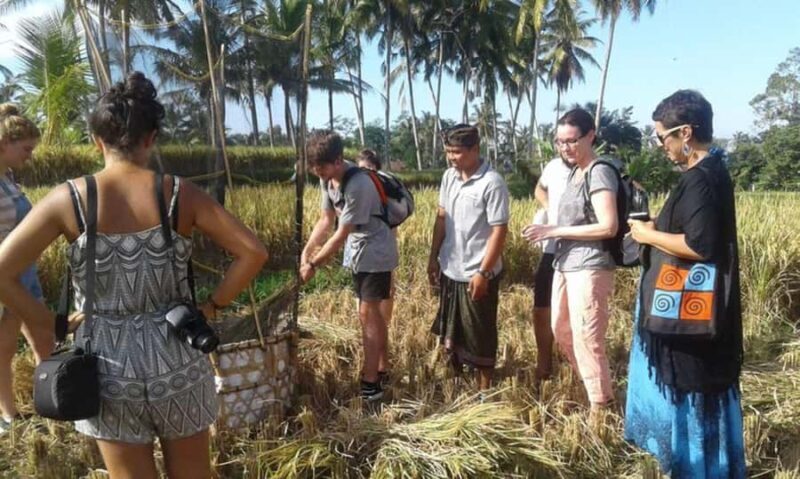 Balinese Culinary Adventure: Authentic Cooking Class in Ubud - Good To Know  