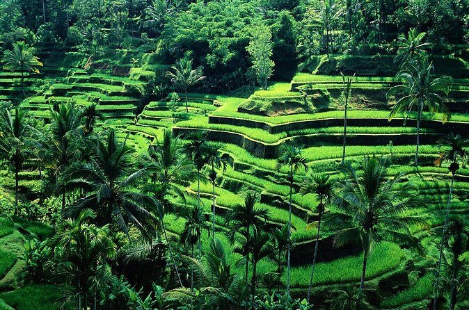 Balinese Healing Experience by Nature - Final Thoughts: Is This Tour Right for You?