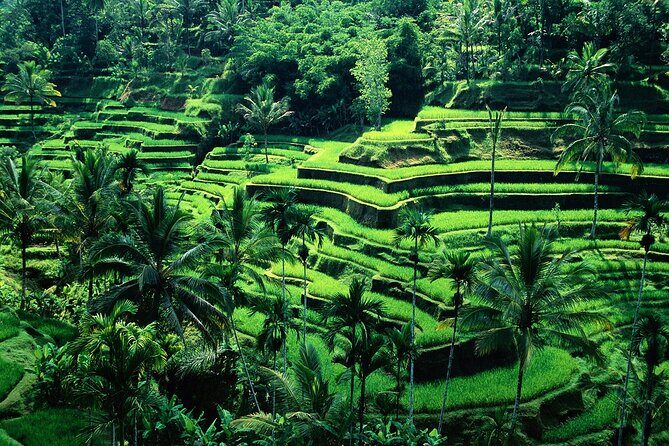 Balinese Healing Experience by Nature - FAQ