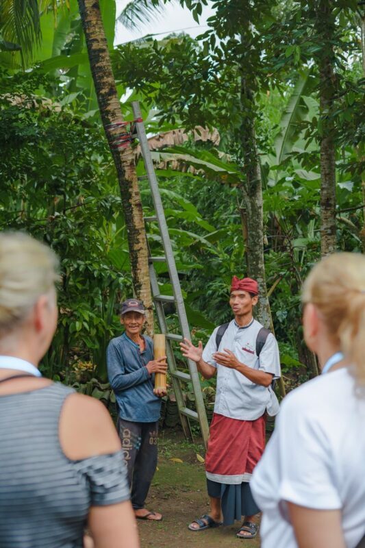 Balinese Healing Journey, Cooking Class, Cycling, or Balinese Living Experience at Bali Rural Commune - A 45-minute ride through Lebah Village