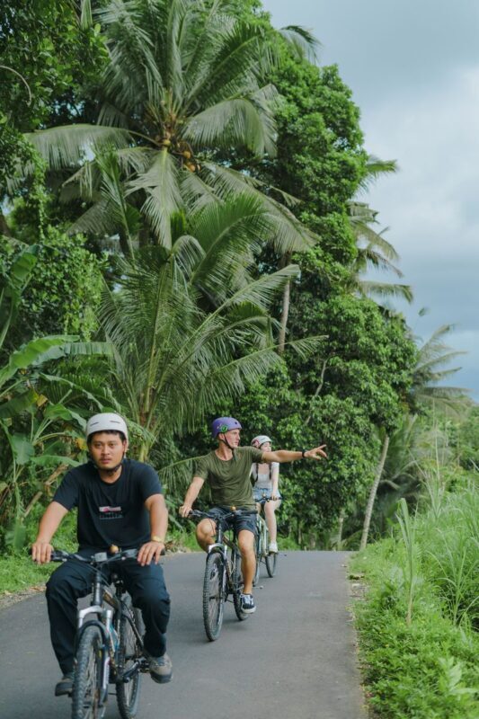 Balinese Healing Journey, Cooking Class, Cycling, or Balinese Living Experience at Bali Rural Commune - Who will enjoy this visit most?