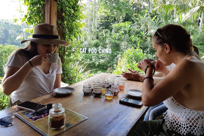 Balinese Healing, Purifying Bath and Waterfall - Good To Know