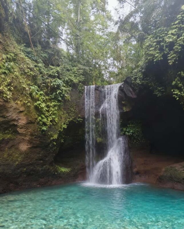 Balinese Holy Water Ritual with Nature Serenity - Introduction