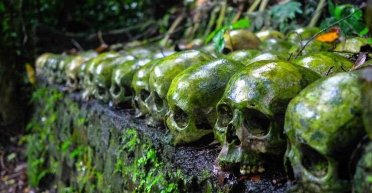 Balinese Mystic and Rituals Tour With Kehen Temple - Experience Highlights