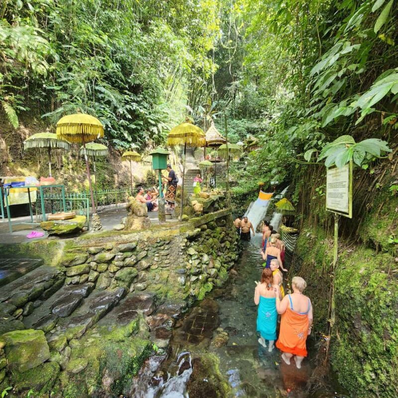 Balinese Purification at holy water temple with Local - Good To Know