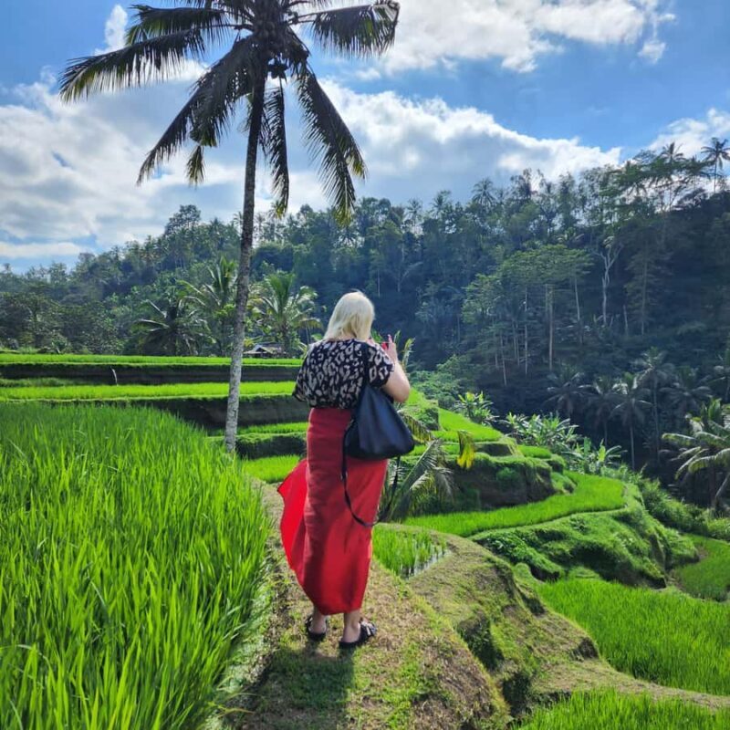 Balinese Purification at holy water temple with Local - Who Will Love This Tour?