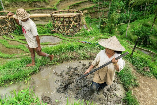 Balinese Ritual Purification Tour - Frequently Asked Questions